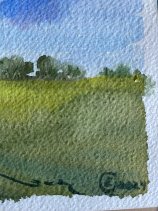 Peaceful Valley Meadow