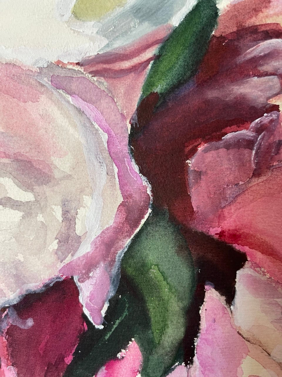 Peony Whispers