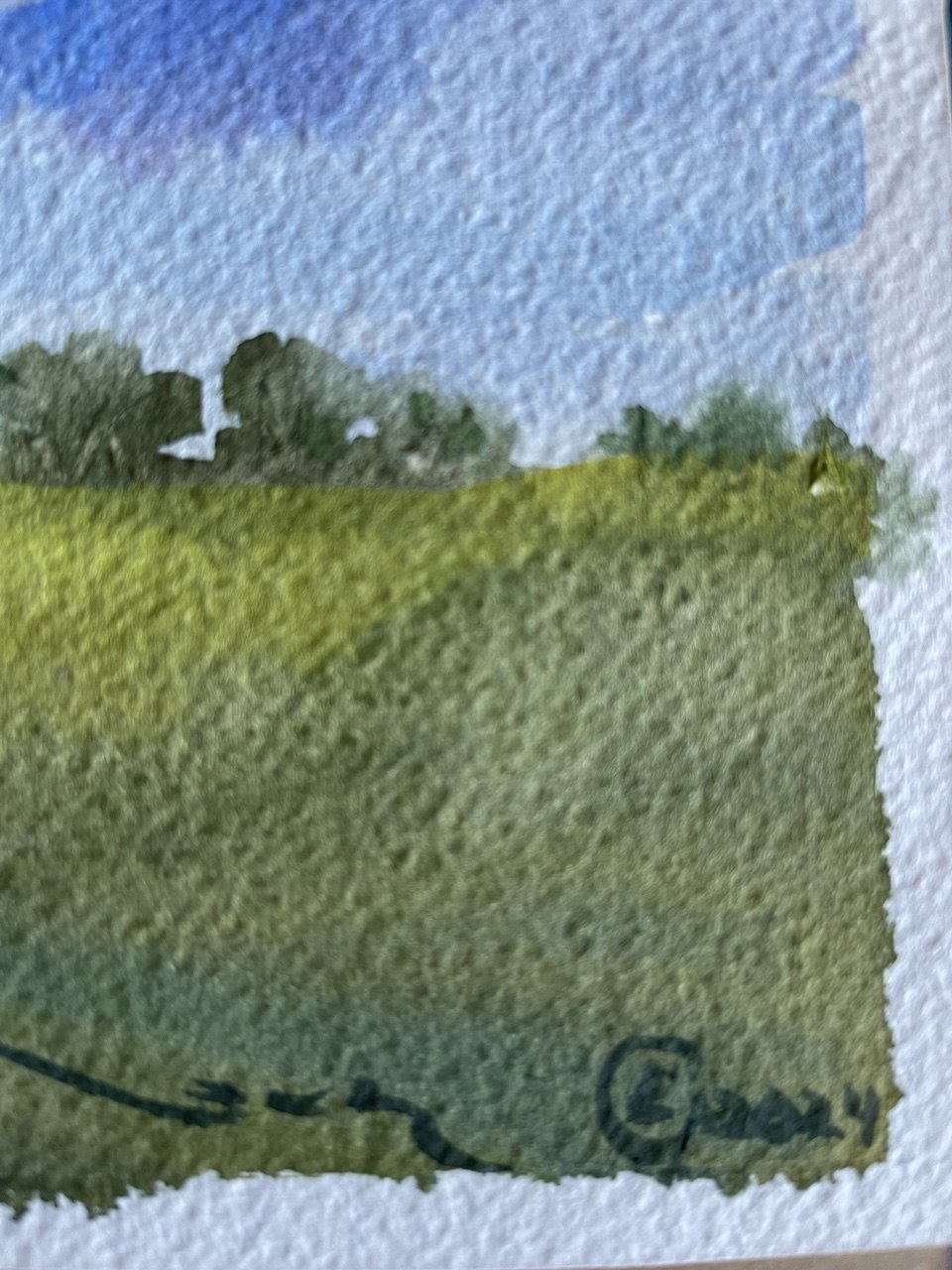 Peaceful Valley Meadow