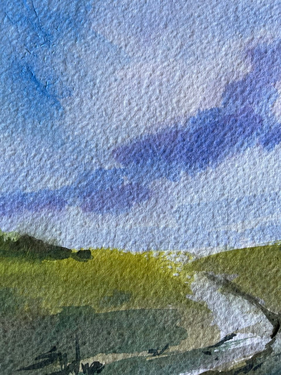 Peaceful Valley Meadow