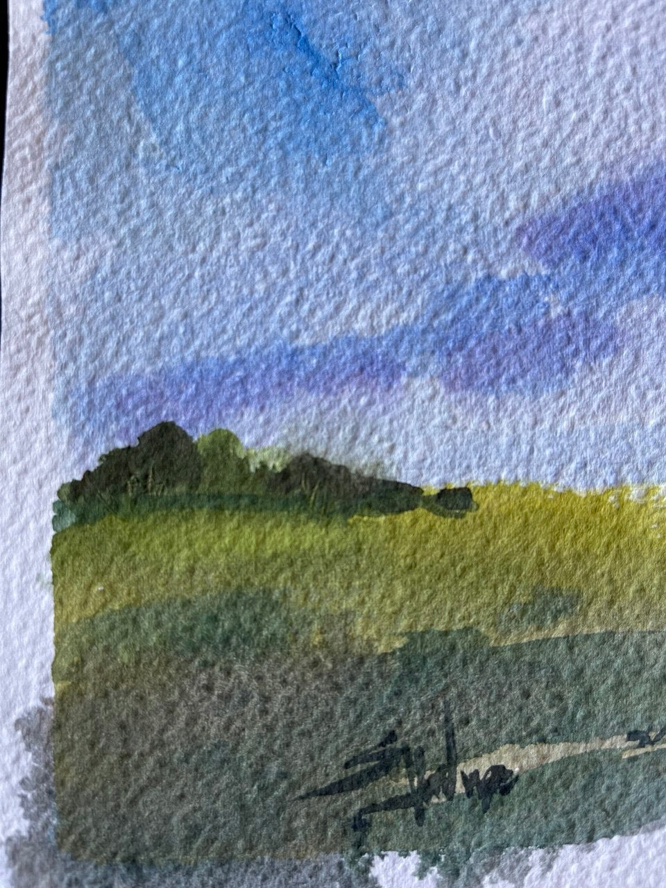 Peaceful Valley Meadow